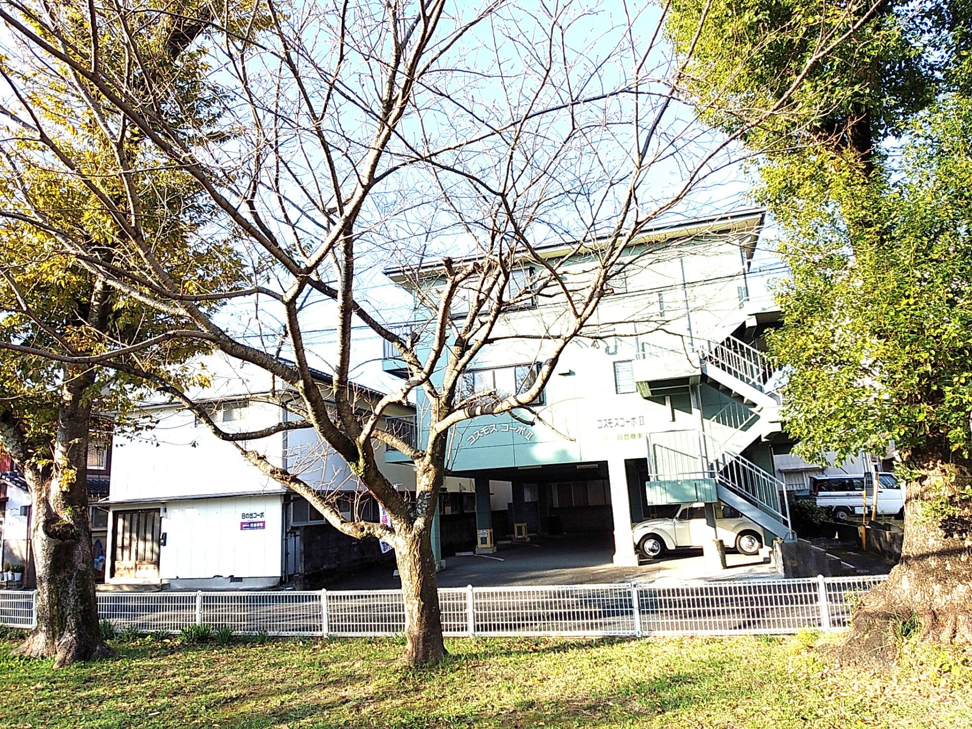 緑あふれるアパート、目の前が桜の木(外観)