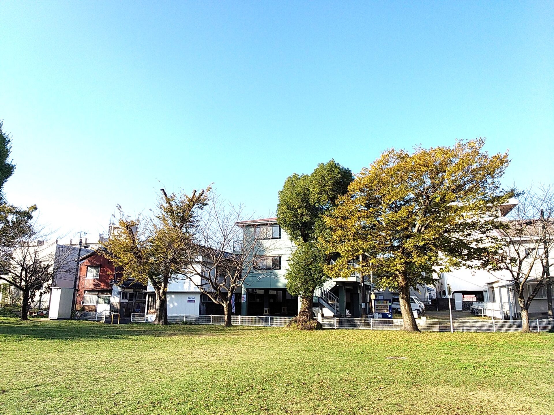 けっこう広めの公園が目のにあるアパートですよー(周辺)