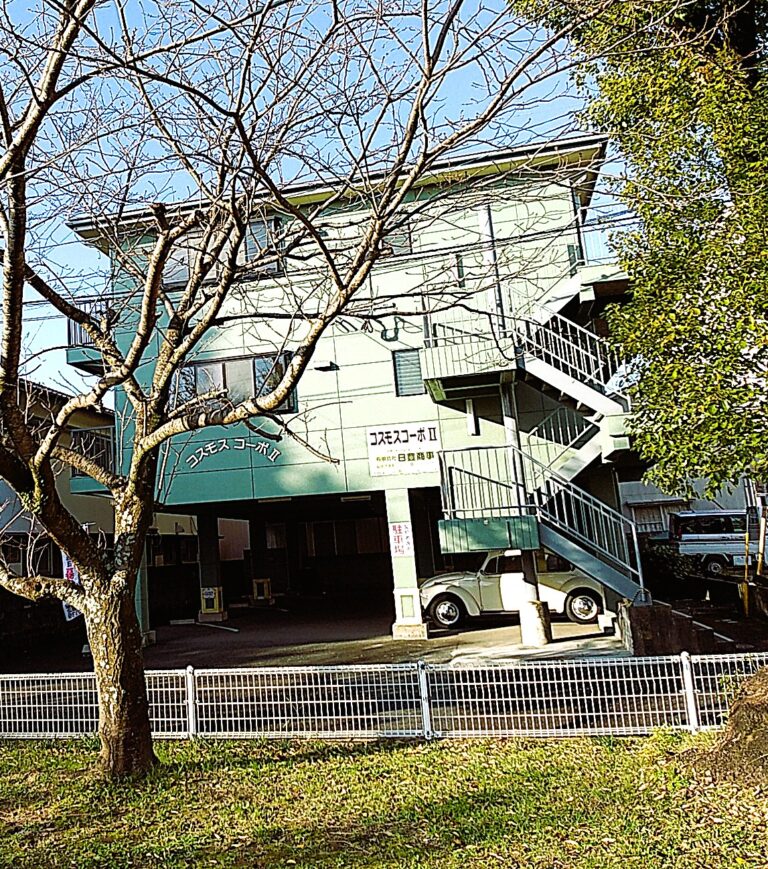 公園前ですよー桜も咲きます(外観)