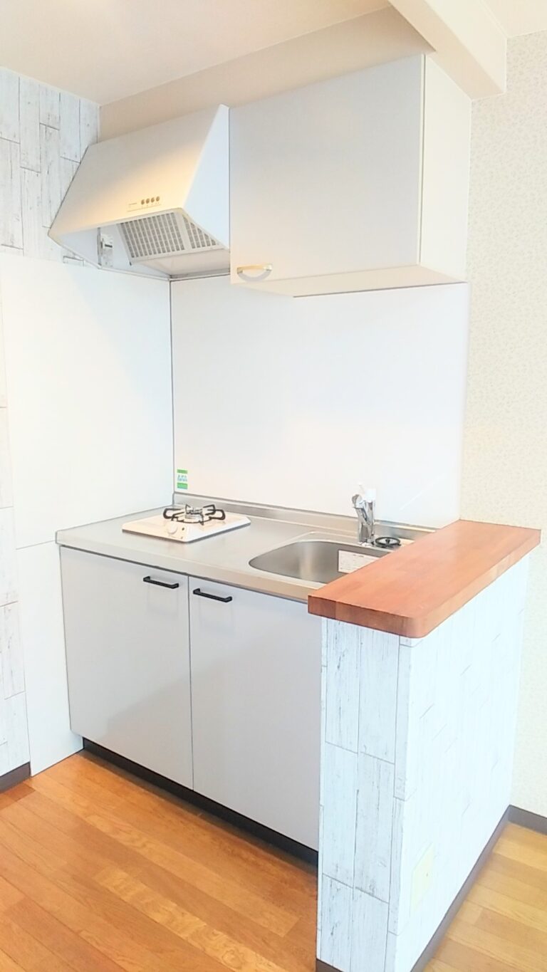 一人暮らしにはちょうどいい大きさのキッチンで、カウンターに椅子を置いてもいいですね(キッチン)