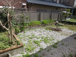 庭 庭