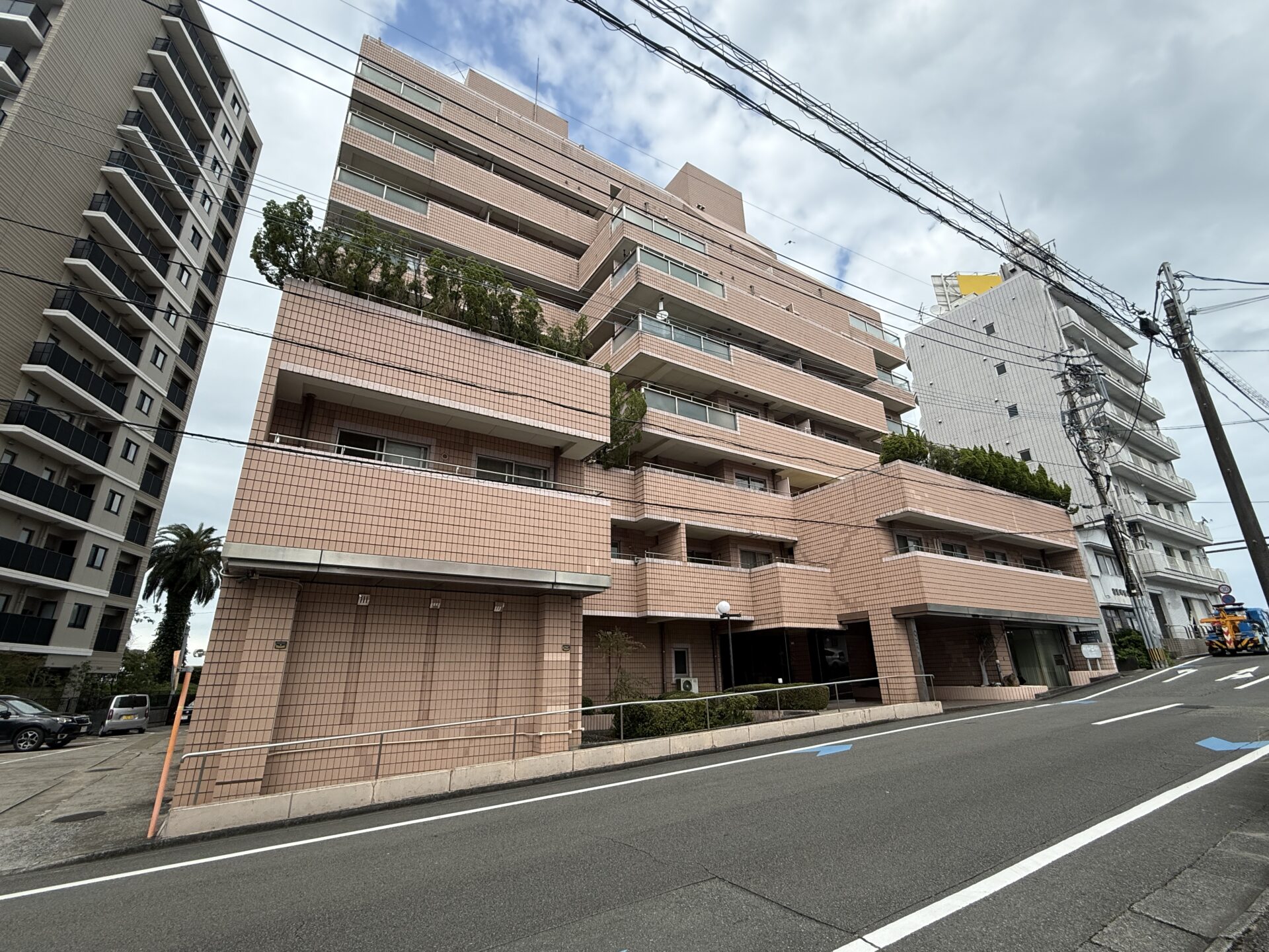 (外観) (外観)