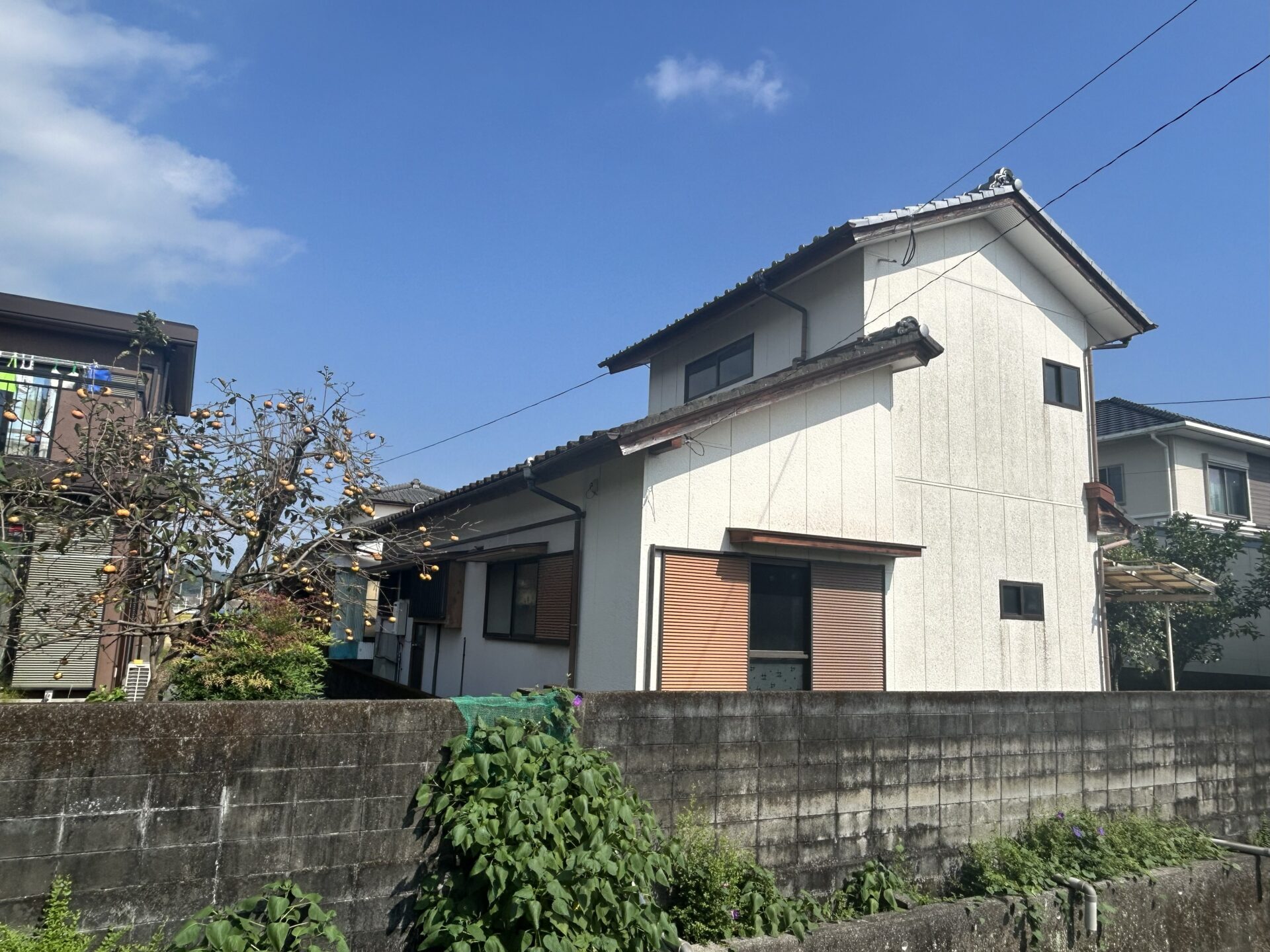 (外観) (外観)
